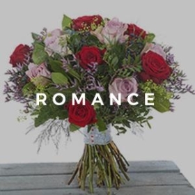 Romance Collection