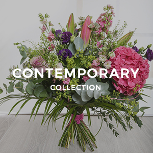 Contemporary Collection