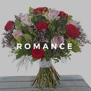 Romance Collection